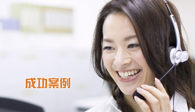 成功案例